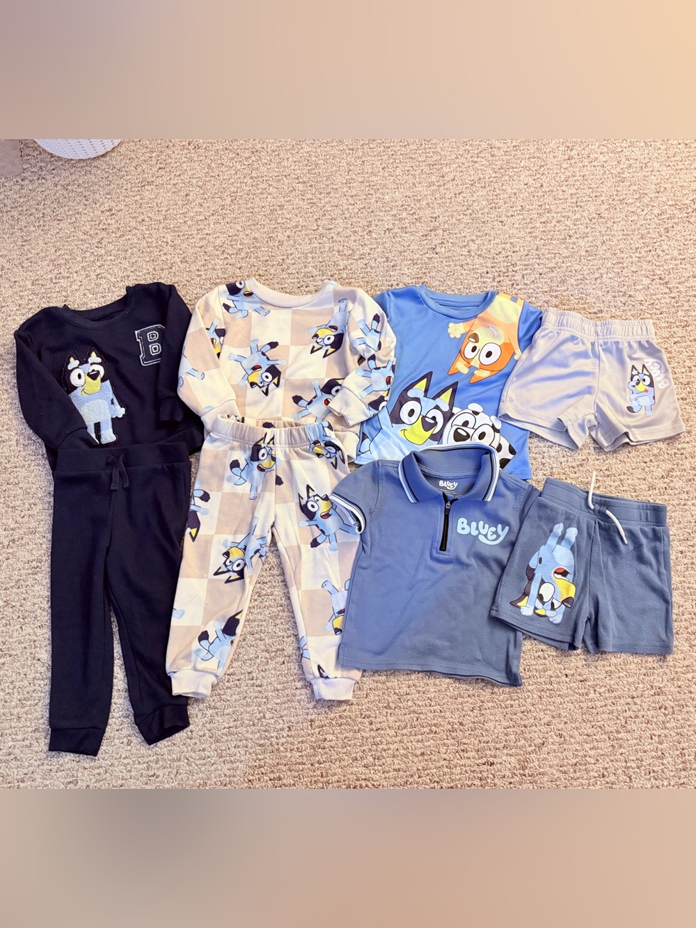 Bluey 2T Lot